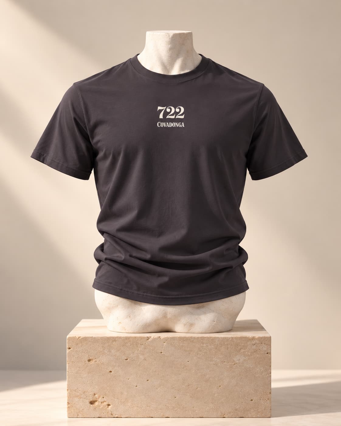 Camiseta 722 Covadonga