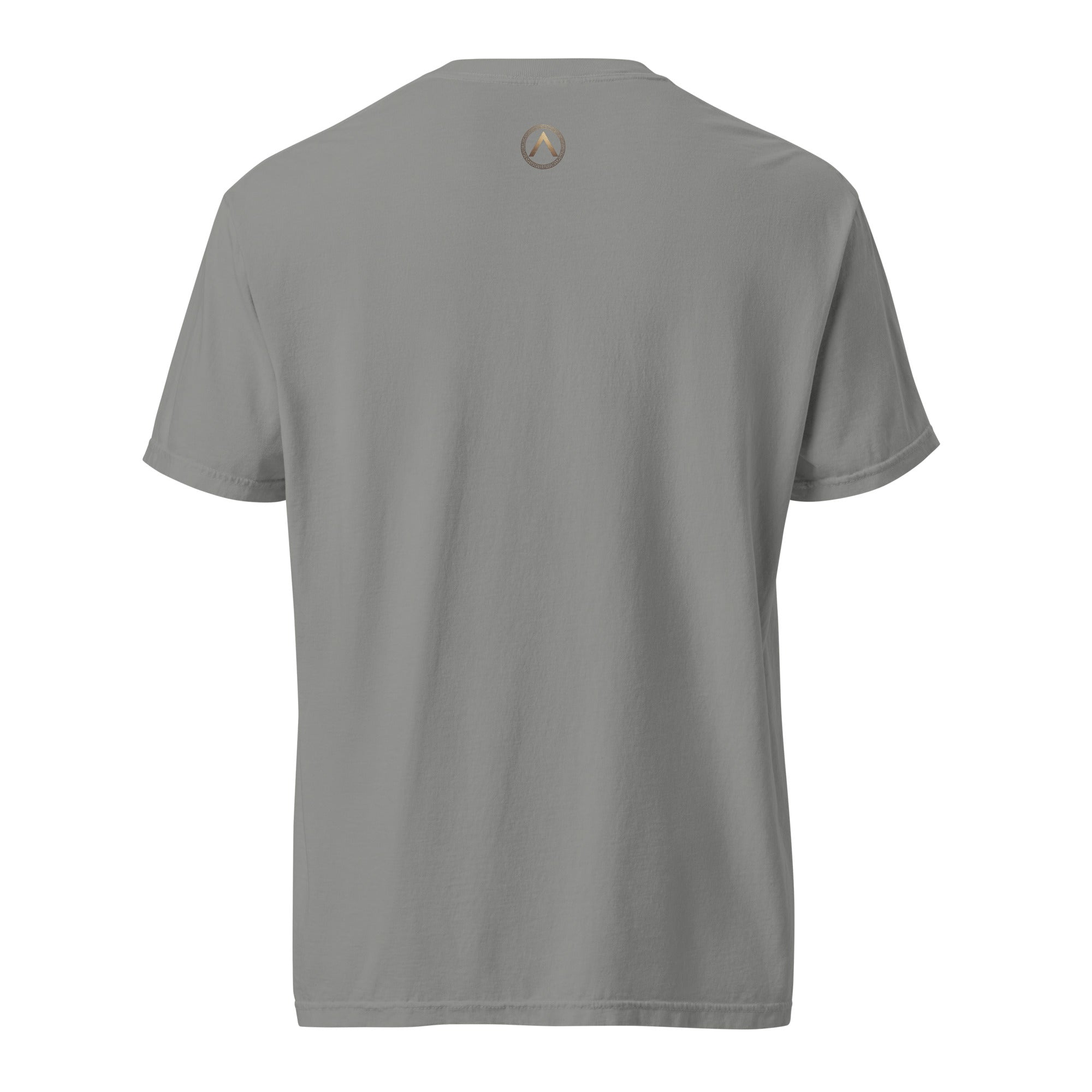 Camiseta Gruesa SPQR Gris