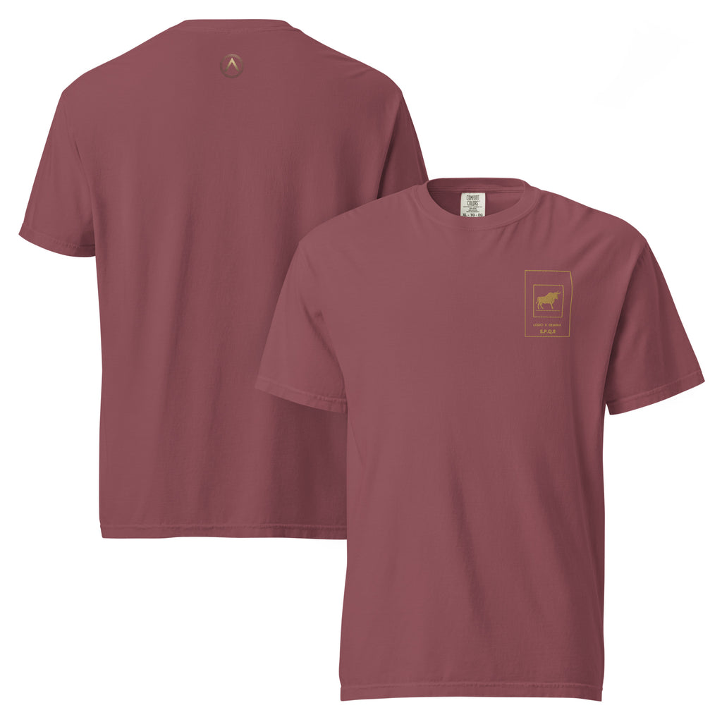 Camiseta Legio X Gemina Bordada