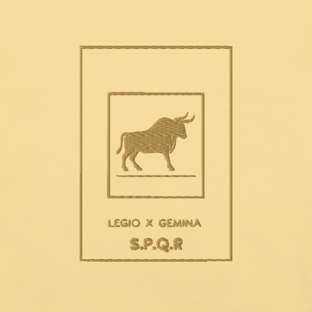 Camiseta Legio X Gemina Bordada