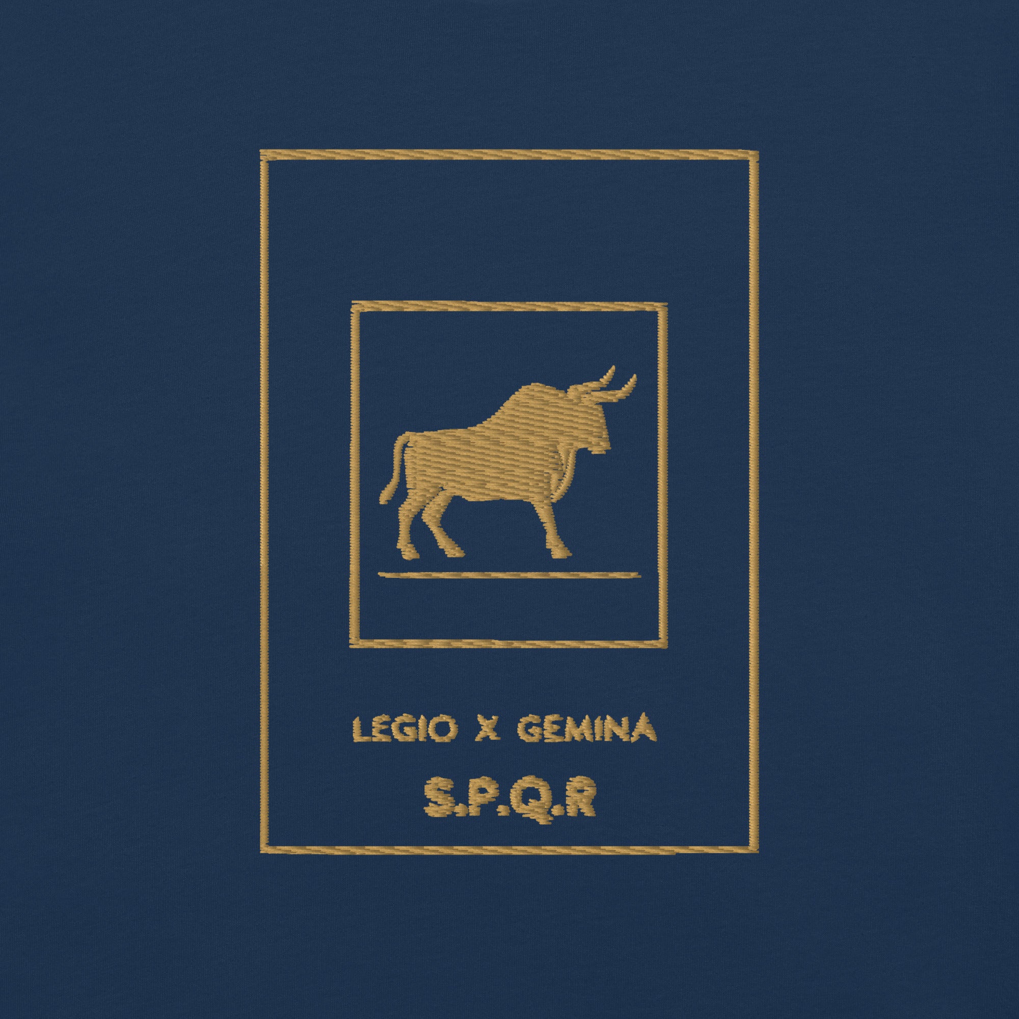 Camiseta Legio X Gemina Bordada