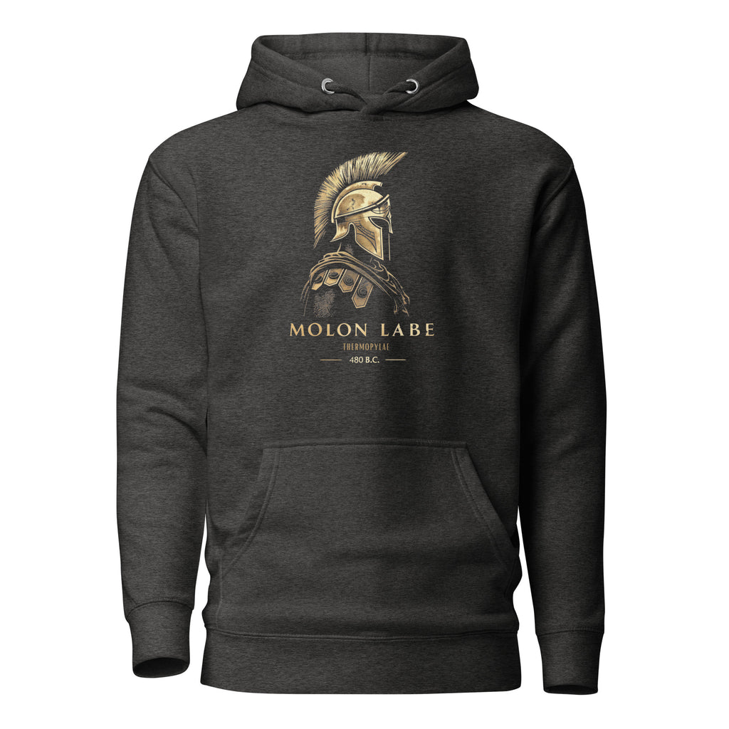 Sudadera con capucha 480 AC Termopilas
